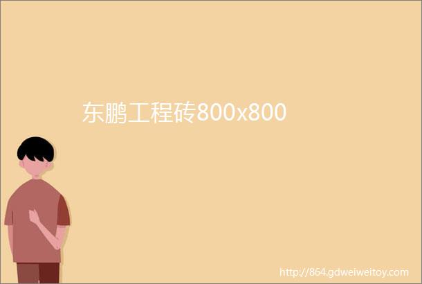 东鹏工程砖800x800